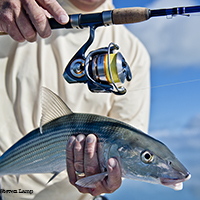 angler shows off a Florida Keys Bonefish