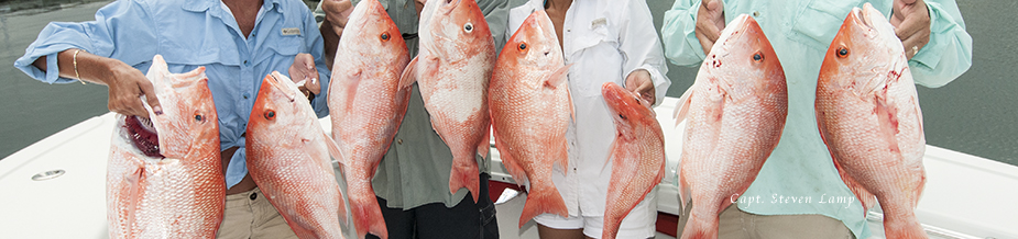 Florida Keys Fishing seasons calendar