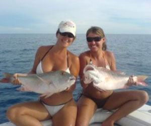 twins get mutton snappers